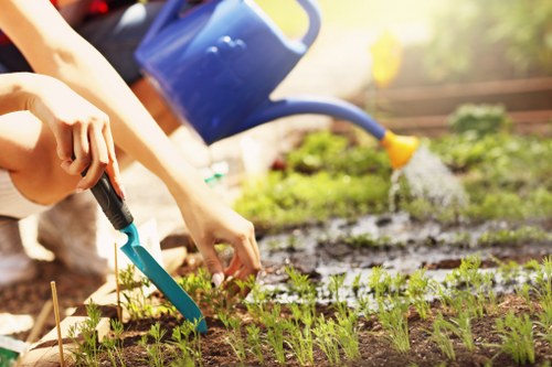 Patio cleaning tools and outdoor area in Brixton