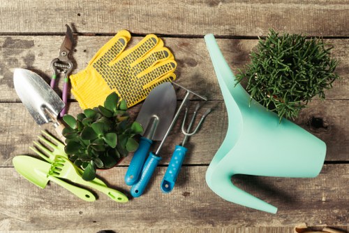 Eco-friendly cleaning products displayed on a patio