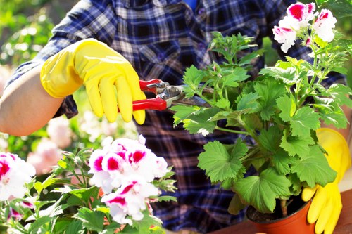 Professional patio cleaning service at work in South Wimbledon.