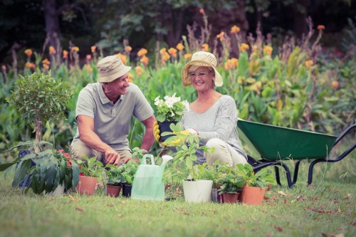 Swiss Cottage patio cleaning with eco-friendly products