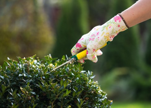 Cleaned patio in North Harrow with eco-friendly cleaning equipment