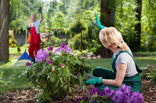 Eco-friendly cleaning process on an urban patio