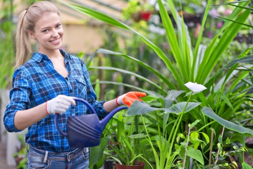 Clean and well-maintained patio in Southgate with eco-friendly cleaning process