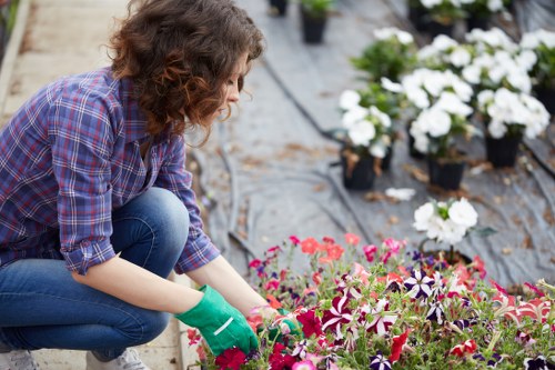 Professional cleaner at work on a well-maintained patio