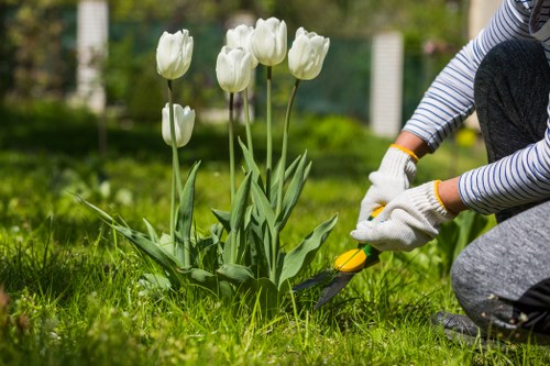 Clean patio in Colliers Wood with eco-friendly cleaning tools