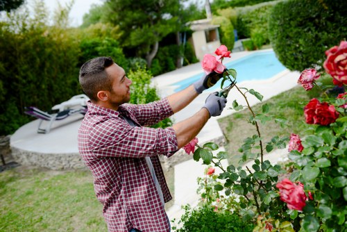 Professional patio cleaning in Old Coulsdon