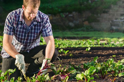 Patio cleaning tools and eco-friendly cleaning solutions