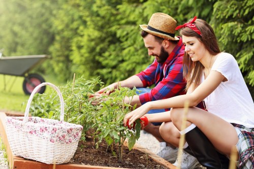 Eco-friendly patio cleaning tools and techniques in use