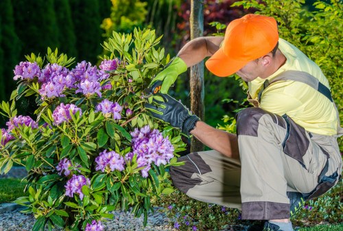 Professional patio cleaning equipment in action