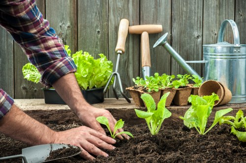 Eco-friendly patio cleaning process showcasing water-saving methods