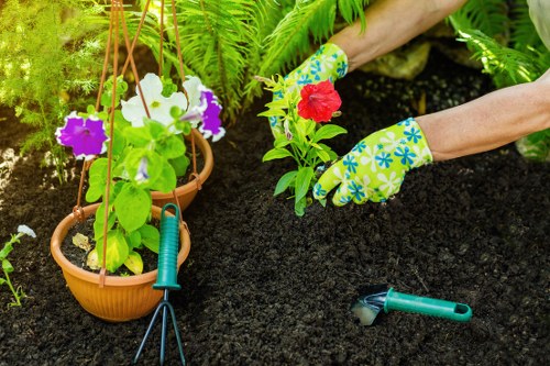 Clean patio surface in Finsbury with eco-friendly cleaning