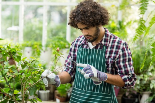 Eco-friendly patio cleaning process