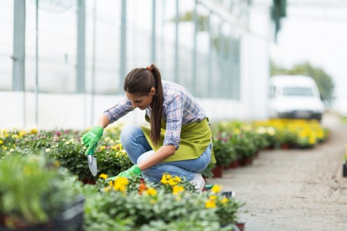 Professional technician inspecting patio cleaning equipment