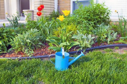 Professional patio cleaning tools and equipment in action