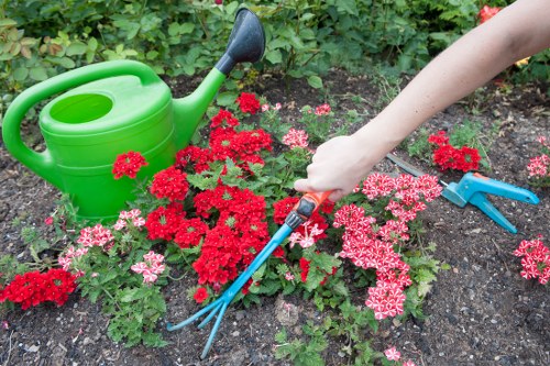 Expert demonstrating professional patio cleaning techniques