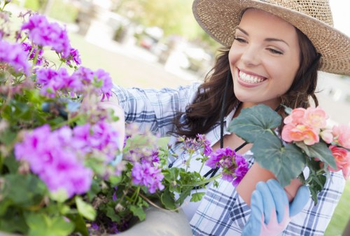 Eco-friendly patio cleaning process in Kilburn