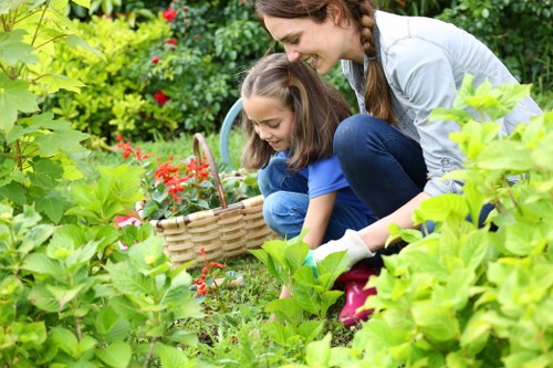 Clean patio in Deptford with eco-friendly solutions