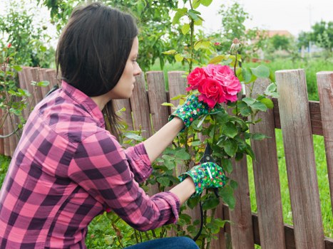 Homeowner using eco-friendly cleaning methods on a patio