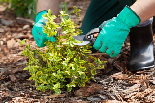 Tips and tools for maintaining a beautiful patio