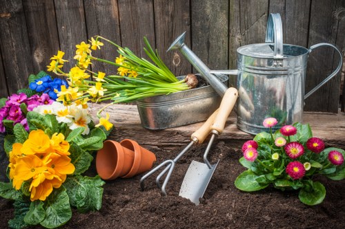 Cleaned patio surface with eco-friendly cleaning tools