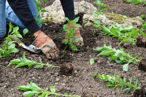 Eco-friendly patio cleaning services in Heston