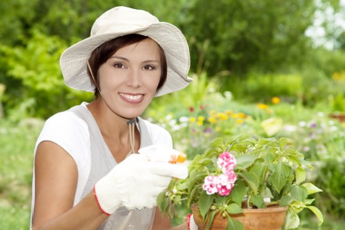 Patio cleaning service using eco-friendly tools