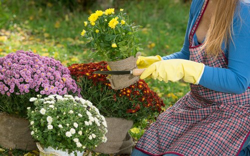 Eco-friendly steam cleaning method for a patio