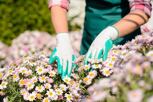 Professional patio cleaning equipment in use