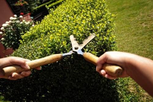 Close-up of eco-friendly cleaning process on a patio