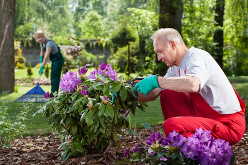 Homeowner applying cleaning techniques on a patio area