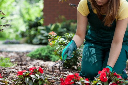 Professional cleaning service at work on a patio