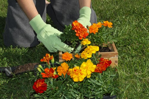 Local Wembley neighborhoods benefiting from patio cleaning