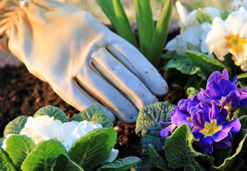 Eco-friendly patio cleaning tools and equipment in use