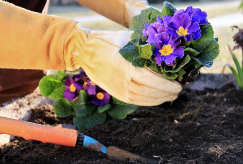 Eco-friendly patio cleaning methods used in Old Malden