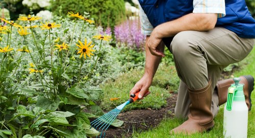 Expert patio cleaning methods in Maryland