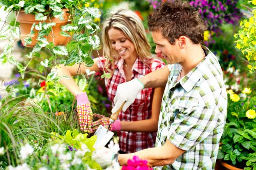 Eco-friendly cleaning solutions applied on outdoor patio