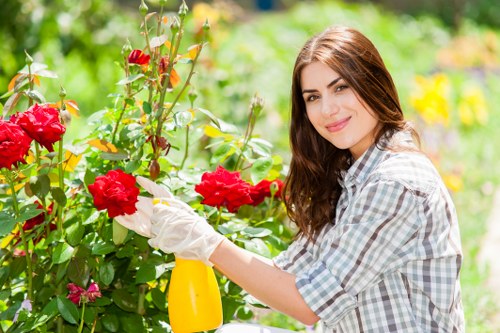 Specialized equipment for patio cleaning in Bulls Cross