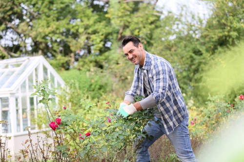 Patio cleaning professional servicing a garden in Kensington