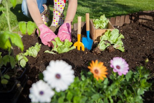 Professional cleaning tools and equipment for patio maintenance