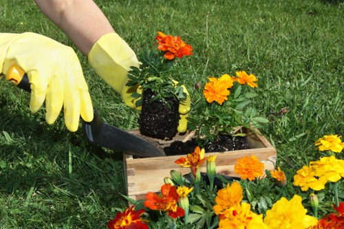 Eco-friendly patio cleaning process in progress