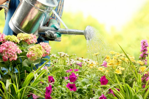 Professional patio cleaning tools and techniques in action