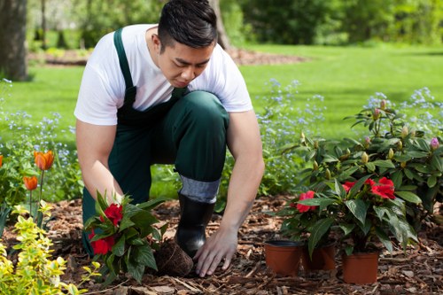 Professional patio cleaning technician