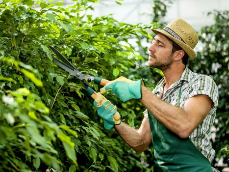 Advanced cleaning techniques and modern equipment for patios.