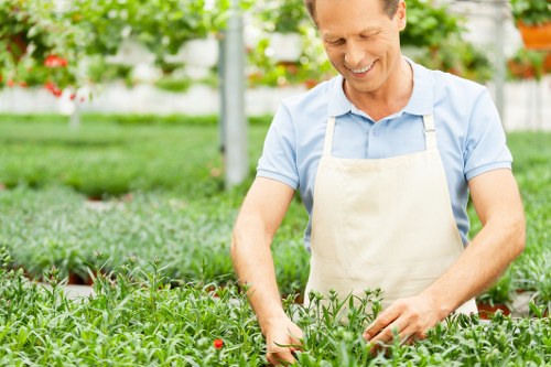 Eco-friendly cleaning solutions used on a patio