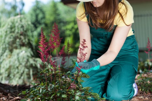 Effective patio cleaning techniques using a pressure washer