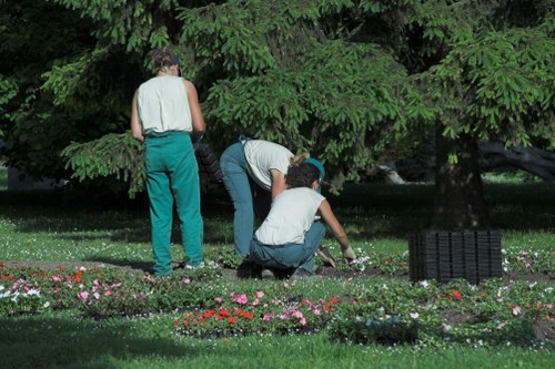 Eco-friendly cleaning process for patios