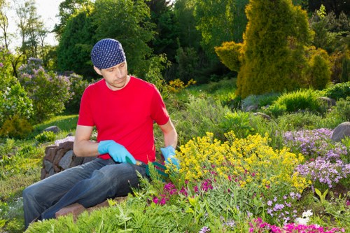 Local professional cleaning a historic patio