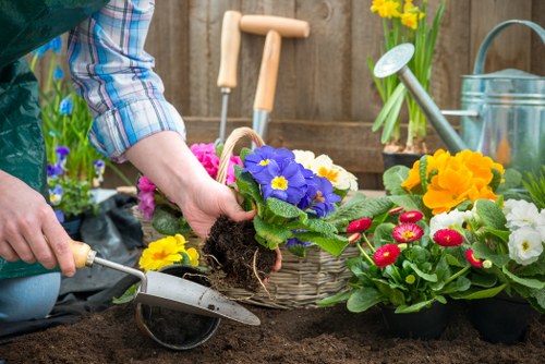 Eco-friendly cleaning process on outdoor patio surface