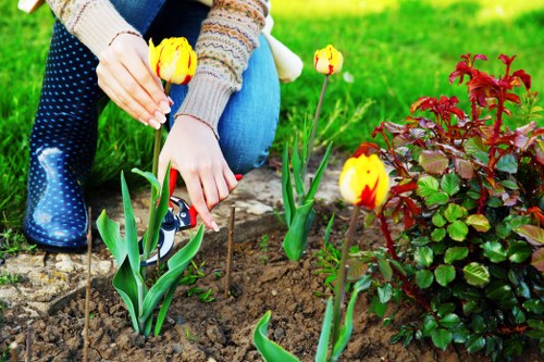 Eco-friendly cleaning solution being applied on a patio surface