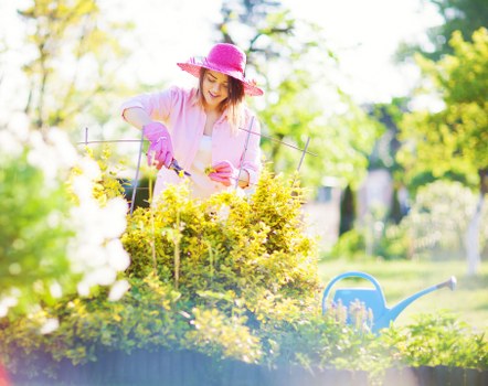 Residential patio cleaning services in a vibrant St Lukes community